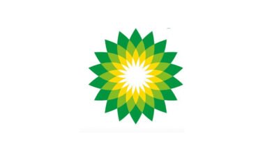 BP Learnership 2025