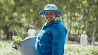 City of Tshwane General Worker 2025
