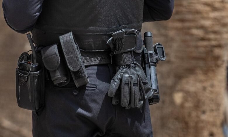 DCS Security Officer 2025