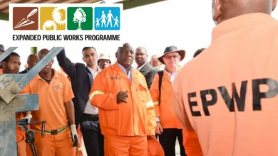 DFFE EPWP Graduate Programme 2025
