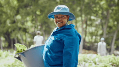 General Worker vacancies at City of Tshwane