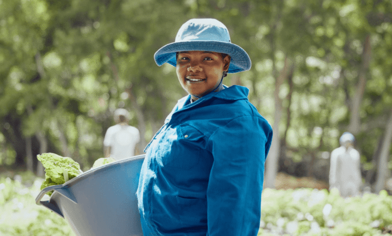 General Worker vacancies at City of Tshwane