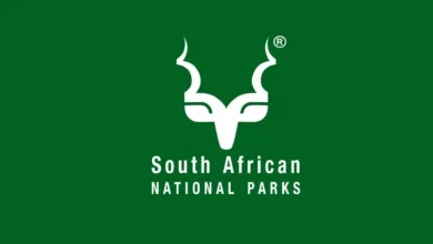 Kickstart Your Career in Conservation with Kruger National Park’s 2025 Internship Programme
