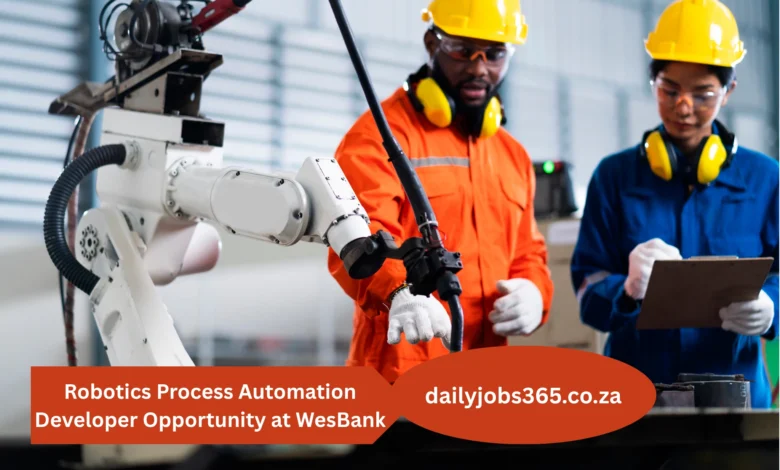 Process Automation Developer