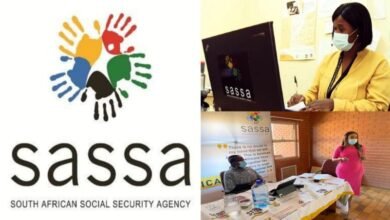 SASSA JOBS DATABASE 2025
