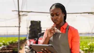 Senwes Sales Clerk 2025: Grow SA’s Agri Future