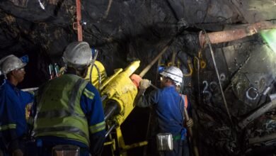 Submit Your CV to Orion Minerals for 2025 Opportunities