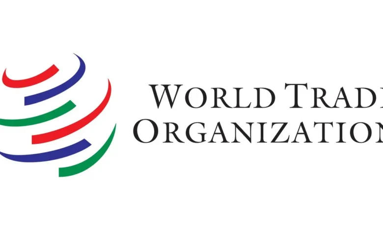 WTO Internship Programme 2025