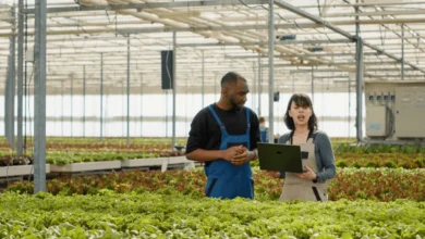 Workshop Assistant – TWK Agri